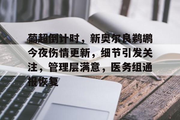 九游娱乐app口碑好-葡超倒计时，新奥尔良鹈鹕今夜伤情更新，细节引发关注，管理层满意，医务组通报恢复的简单介绍